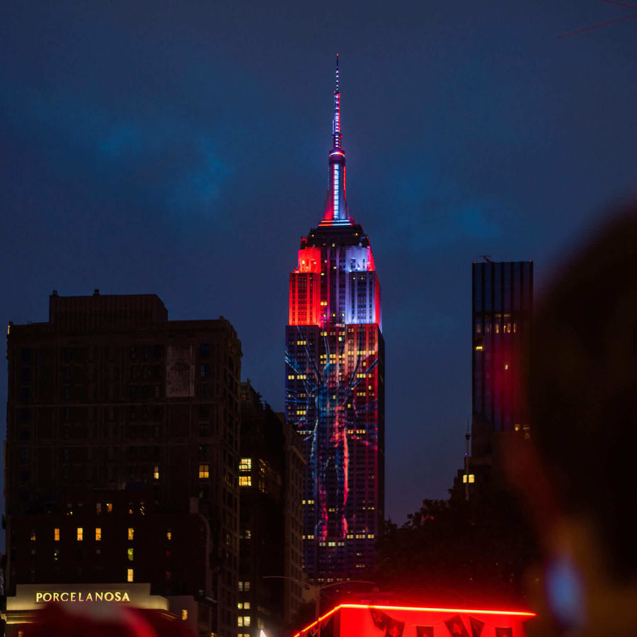 Empire state building strainger things lights 